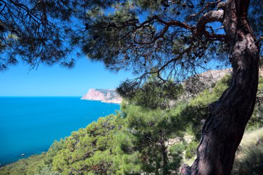 Akdeniz