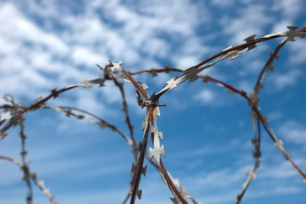 Barbed wire — Stock Photo, Image