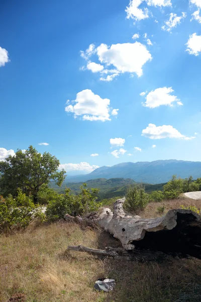 Vikos — Stok fotoğraf