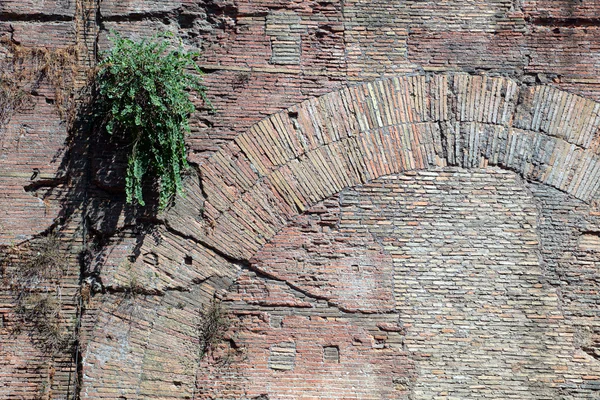 Alte Mauer — Stockfoto