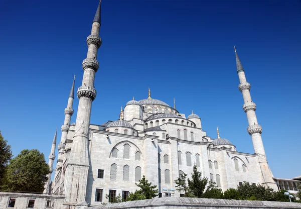 Moschea blu — Foto Stock