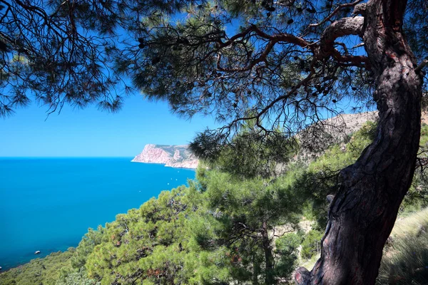 Mediterráneo — Foto de Stock