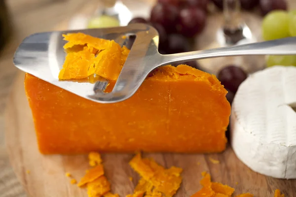 橙色的切达干酪和羊乳酪奶酪 — 图库照片