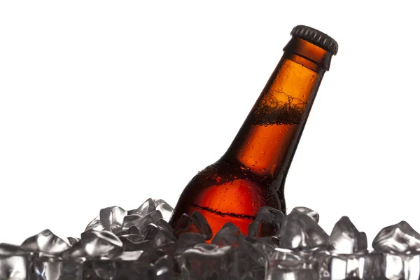 Primer plano de botella de cerveza y cubitos de hielo — Foto de Stock