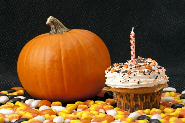 Leckere Halloween-Cupcake mit Kürbis — Stockfoto
