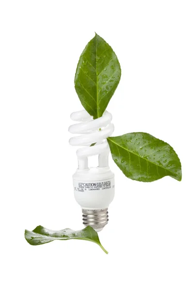 Lampadina concetto ecologico — Foto Stock