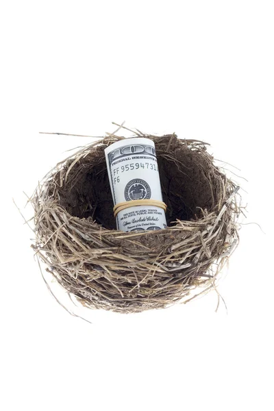Birds nest with a dollar — Stock Photo, Image