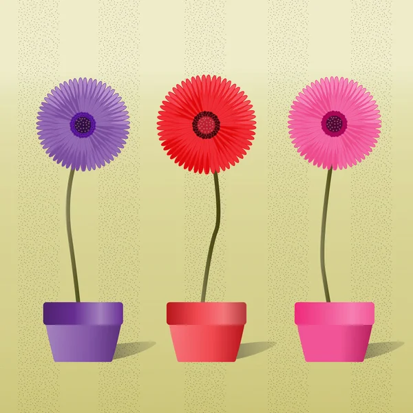 Färgglada gerbera daisies — Stockfoto