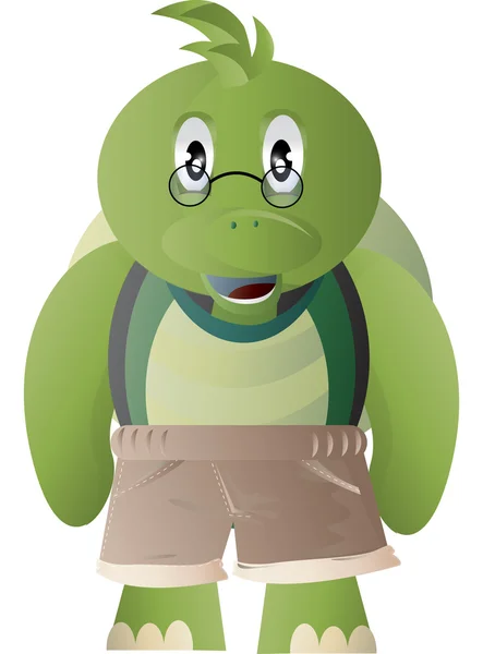 Old turtle — Stock Photo, Image