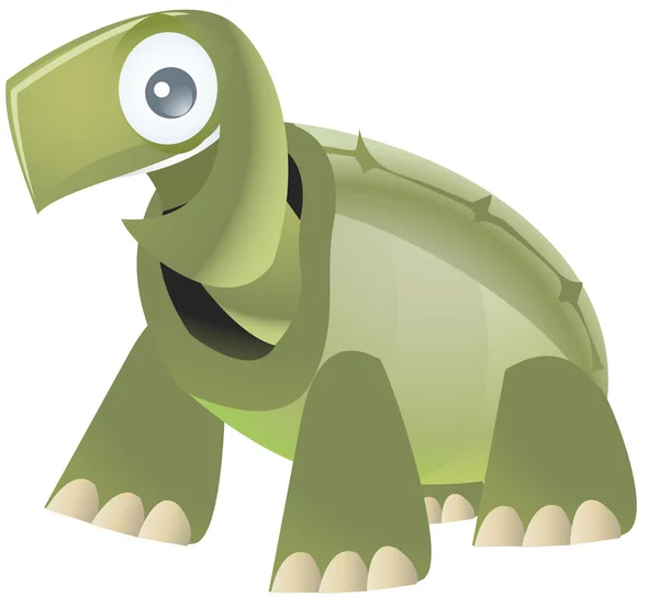 Tortoise — Stock Photo, Image