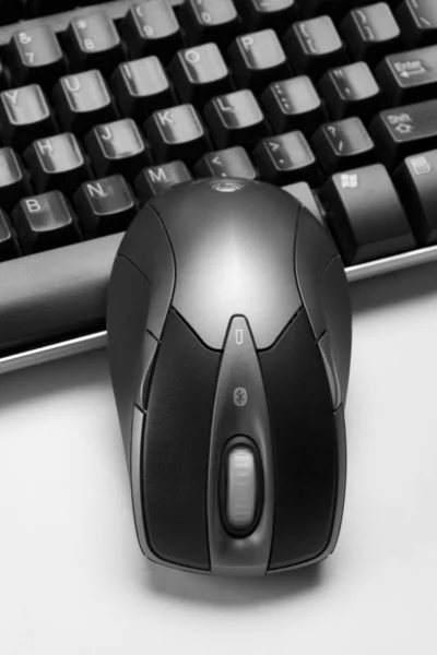 Obecná myš a klávesnice — Stock fotografie