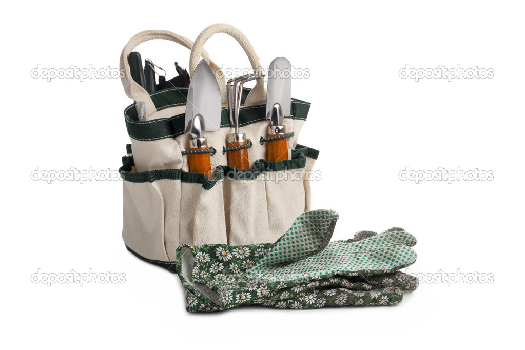 Gardening tool bag and gloves