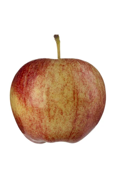 Frischer Apfel — Stockfoto