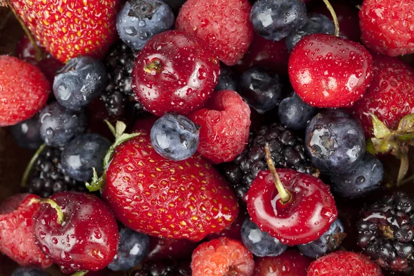 Frische Beerenfrüchte — Stockfoto