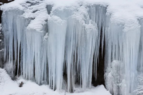 Frosty snow storm — Stock Photo, Image