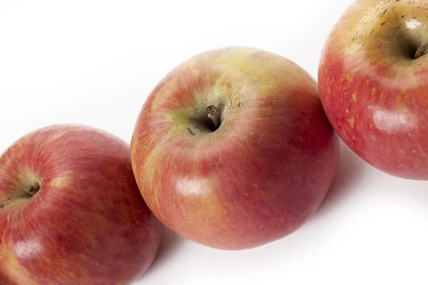 Manzanas de gala — Foto de Stock
