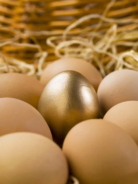 Gouden eieren met bruin eieren — Stockfoto