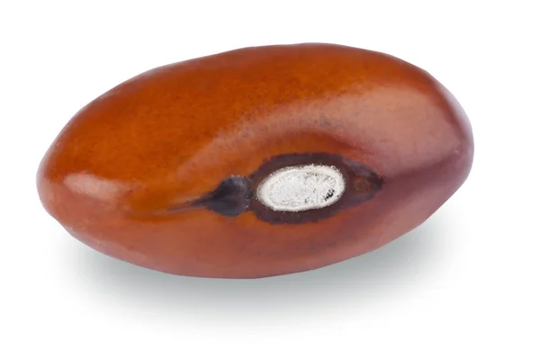 Gyllene bean — Stockfoto