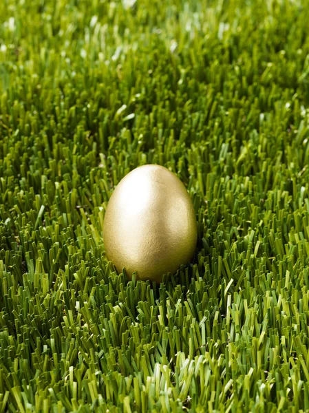 Yeşil çimenlerin üzerinde altın yumurta — Stok fotoğraf
