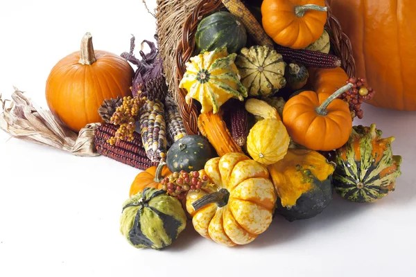 Cornucopia zucca — Foto Stock