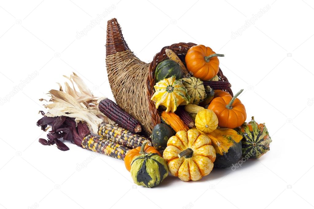 gourds pumpkins and indian corn