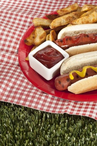 Gegrillter Hotdog auf dem Brötchen mit Pommes nebenbei — Stockfoto