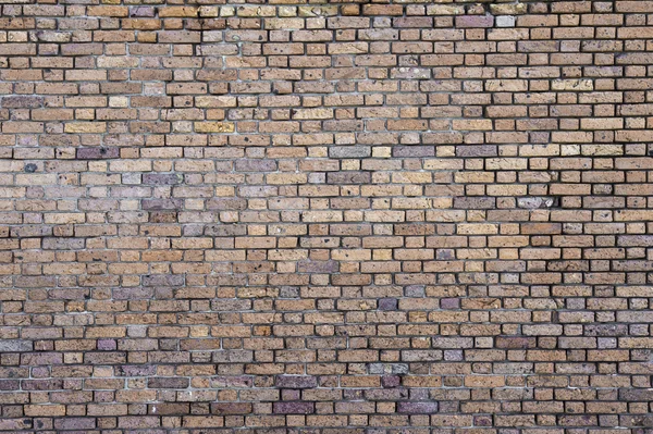 Grunge brick wall background — Stock Photo, Image