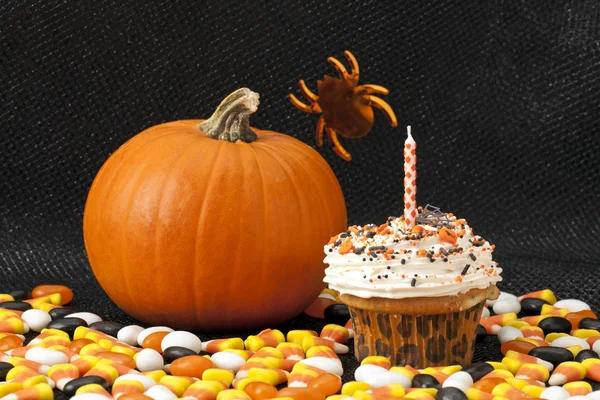 Cupcake d'Halloween et citrouille — Photo