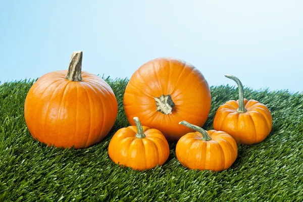 Halloween pumpkins over grass — Stock Photo, Image