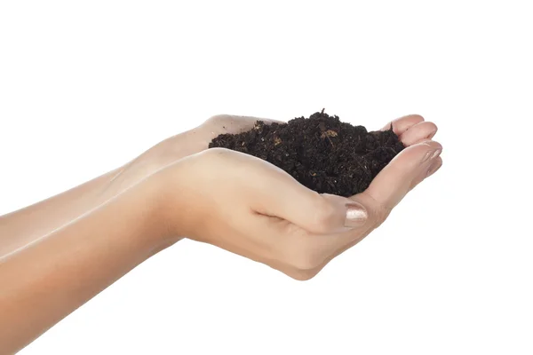 Hand hält Erde mit Pflanze — Stockfoto