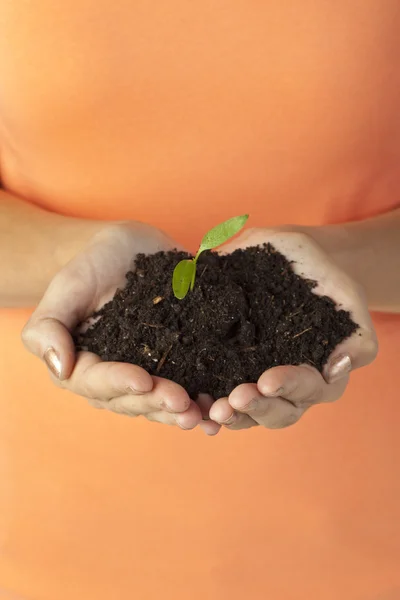 Hand holding soil with plant — Stock Photo, Image