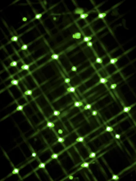 Imagen desenfocada de luces de neón verdes — Foto de Stock