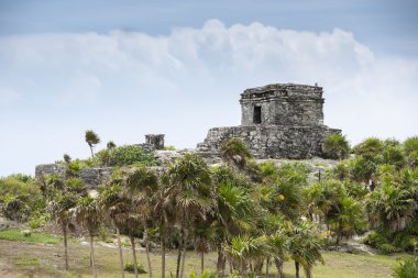 Antik Maya harabelerini tulum Meksika