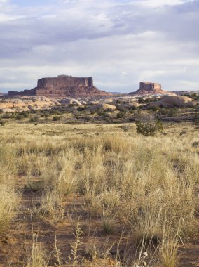 Arizona Kanyonları