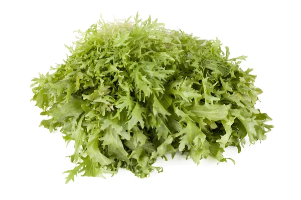 Rucola-Salat — Stockfoto