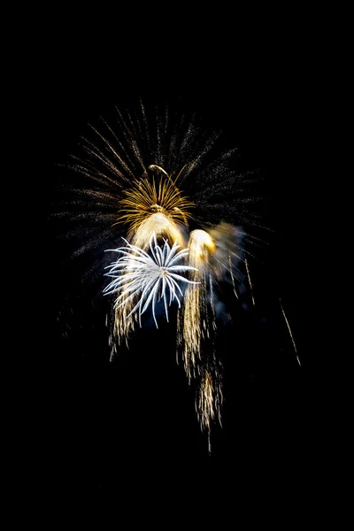 Fireworks — Stock Photo, Image