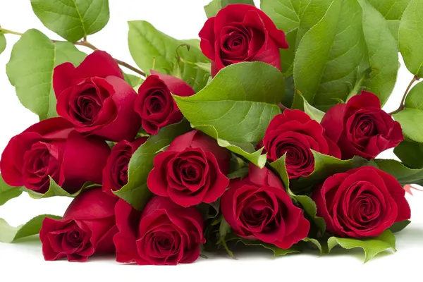 Fresh red rose bouquet — Stock Photo, Image