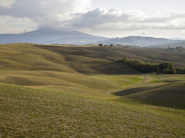 green hillside in tuscany italy clipart