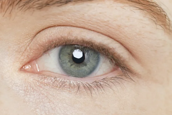 Mujer de ojos grises —  Fotos de Stock