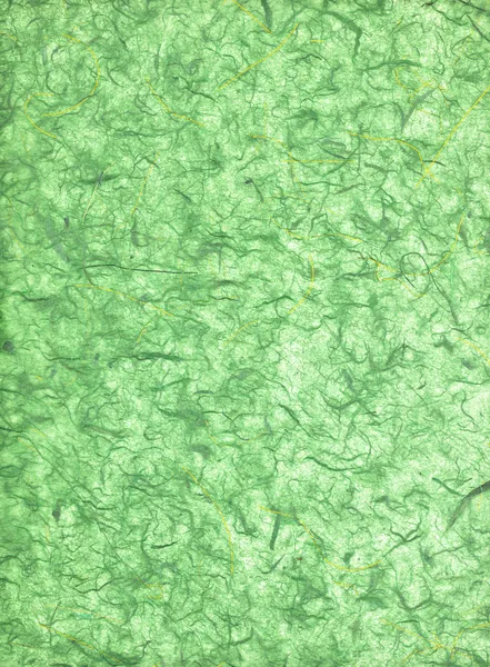 Texture de papier peint vert — Photo