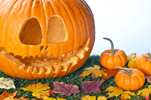 Felice decorazione di Halloween — Foto Stock