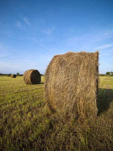 Höbalen i fältet med himlen i bakgrunden — Stockfoto