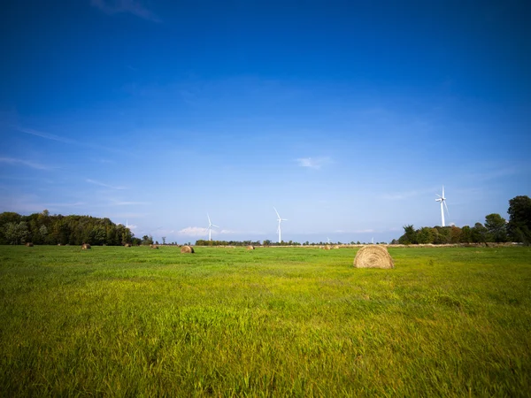 Hö fält med himlen i bakgrunden — Stockfoto