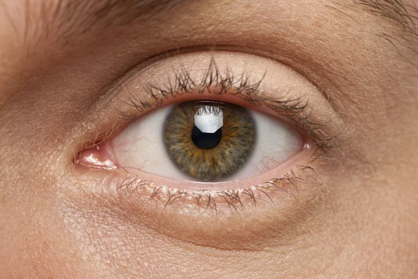 Hazel eye macro — Stock Photo, Image