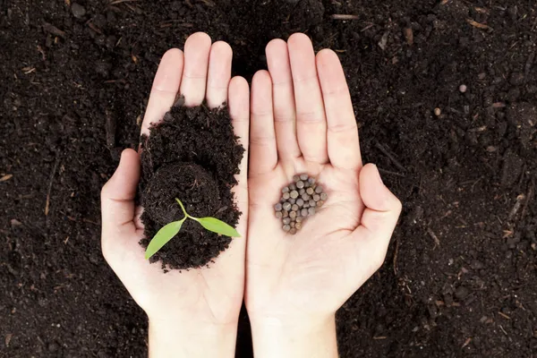Hände mit Pflanzen und Samen — Stockfoto