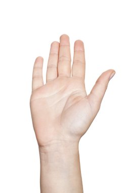 Palm açın