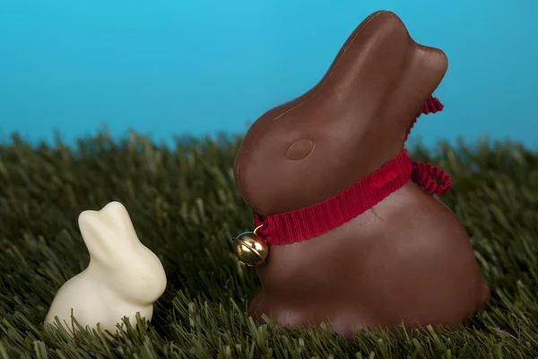 Leite e coelhos de Páscoa de chocolate — Fotografia de Stock