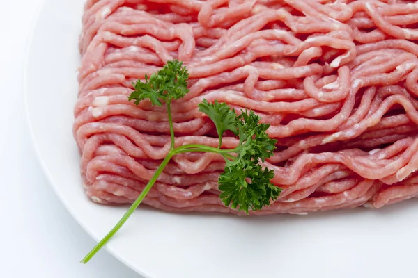 Hackfleisch mit Koriander — Stockfoto