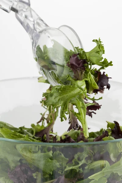 Gemengde groene salade — Stockfoto