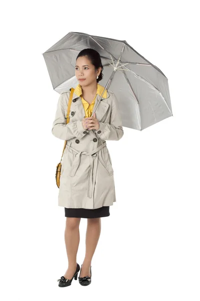Kontor tjej anläggning paraply — Stockfoto